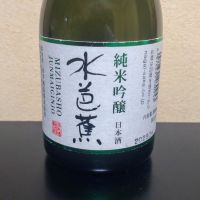 
            水芭蕉_
            まささん