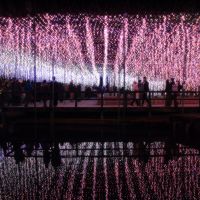 大那のレビュー by_まさ