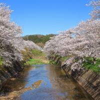 会津宮泉のレビュー by_まさ