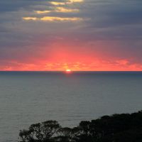 腰古井のレビュー by_まさ