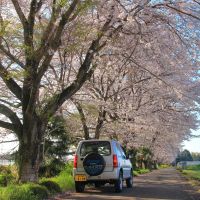 咲耶美のレビュー by_まさ