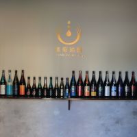 電照菊のレビュー by_まさ