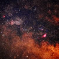 梅一輪のレビュー by_まさ