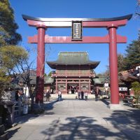 二波山松緑のレビュー by_まさ