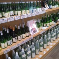 梅一輪のレビュー by_まさ