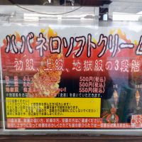 会津宮泉のレビュー by_まさ