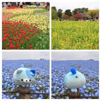 金水晶のレビュー by_まさ