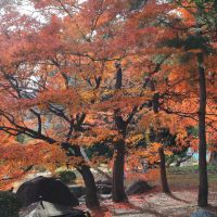 真澄のレビュー by_まさ