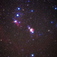 腰古井のレビュー by_まさ