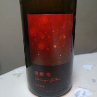 
            電照菊_
            まささん