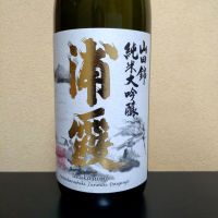 浦霞