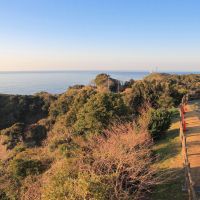 竹岡のレビュー by_まさ