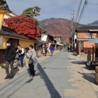 信州亀齢のレビュー by_まさ