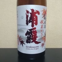 浦霞