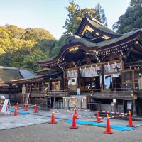 みむろ杉のレビュー by_まさ