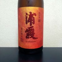 浦霞