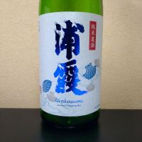 浦霞