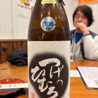 つげのひむろ (都祁氷室)