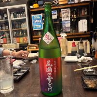 尾瀬の雪どけ
