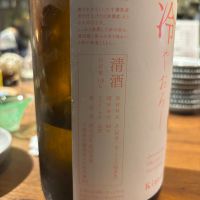 甲子のレビュー by_ケント