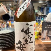 寒紅梅