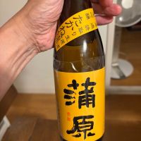 蒲原