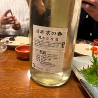 京の春のレビュー by_ケント