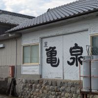 亀泉のレビュー by_hiwasa1979
