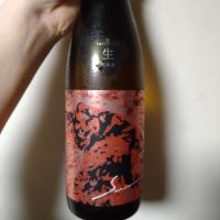 サビ猫ロック