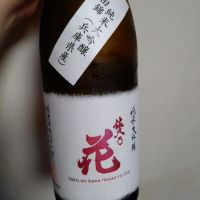 佐久乃花
