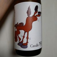 十九のレビュー by_willow