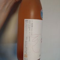 十九のレビュー by_willow