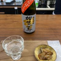 加賀鳶