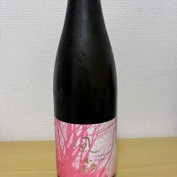 風の森