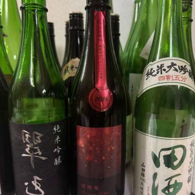 電照菊のレビュー by_STELL4