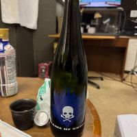 FLAME OF SKULL