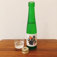 千代菊