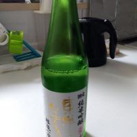 東洋美人