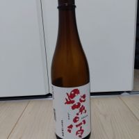 
            紫宙_
            男葱さん