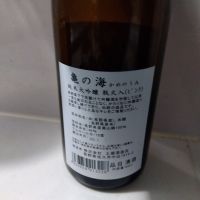 亀の海のレビュー by_男葱