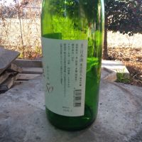 東洋美人のレビュー by_男葱