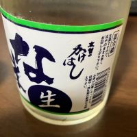 木曽のかけはし
