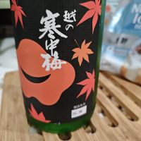 越の寒中梅