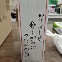 木曽のかけはしのレビュー by_山の田んぼ