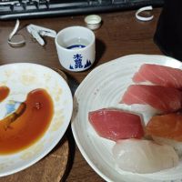 臥龍梅のレビュー by_山の田んぼ