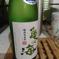 亀の海