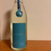 OCEAN99