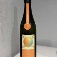 総乃寒菊