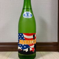 尾瀬の雪どけ