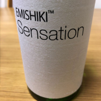 
            SENSATION_
            もっしもっしさん